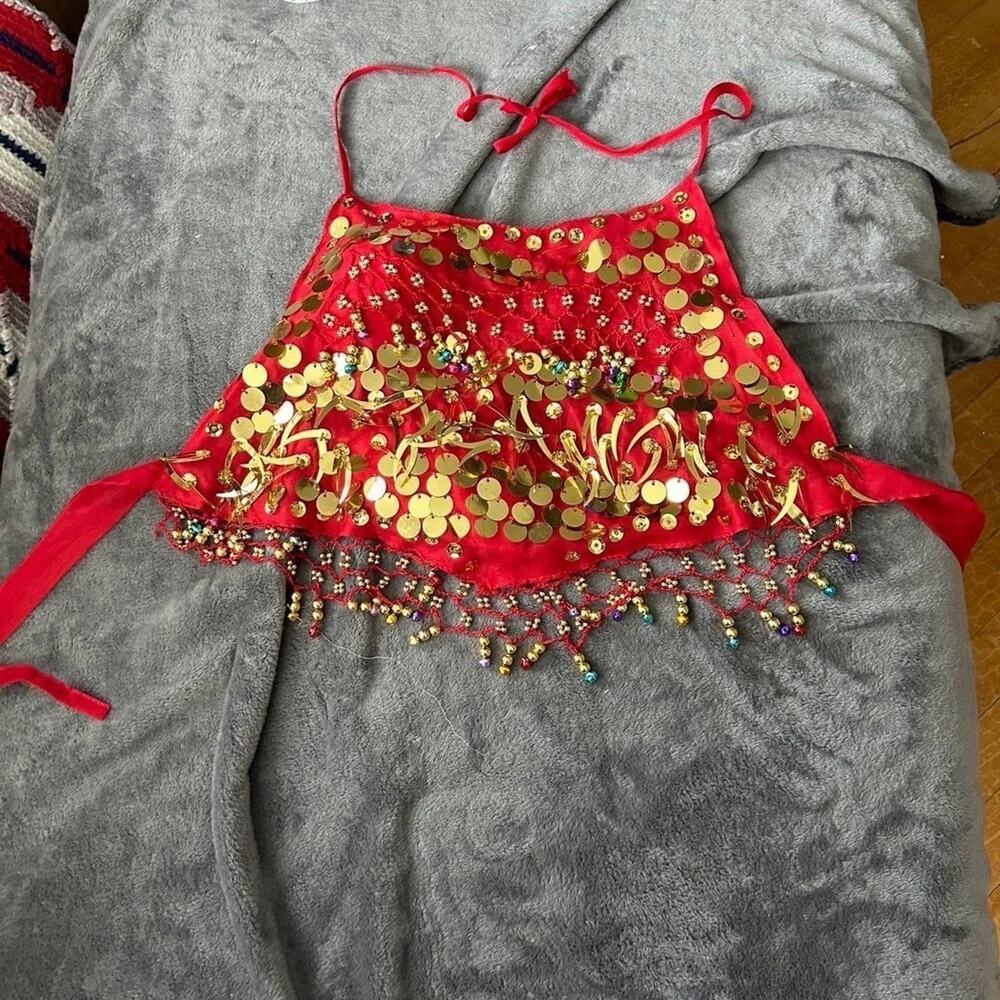 Belly dancer Halloween costume size large .Please read description